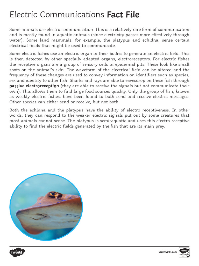 Electrocommunication in Aquatic Animals | PDF