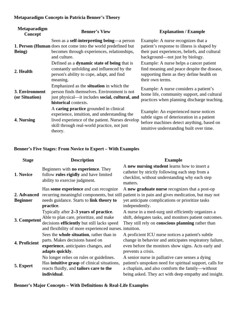 Benner's Nursing Metaparadigm Explained | PDF | Nursing | Psychological ...