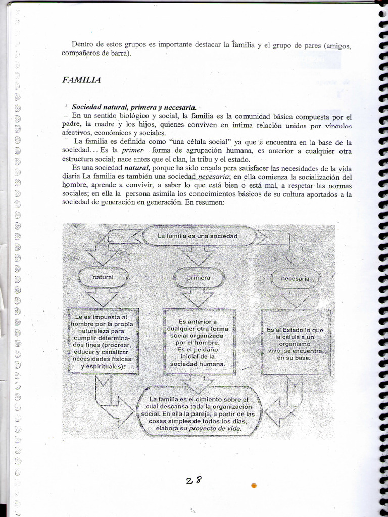 Importancia de la familia en la sociedad | PDF | Familia | Sociedad