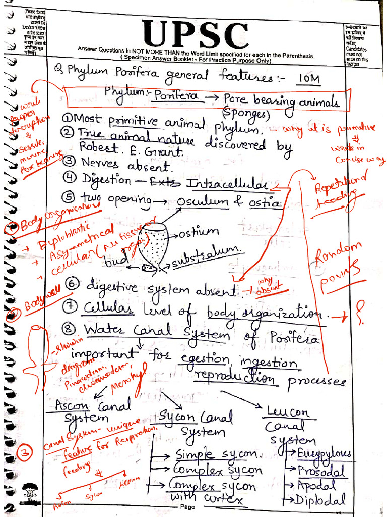 Sample Checked Copy. | PDF
