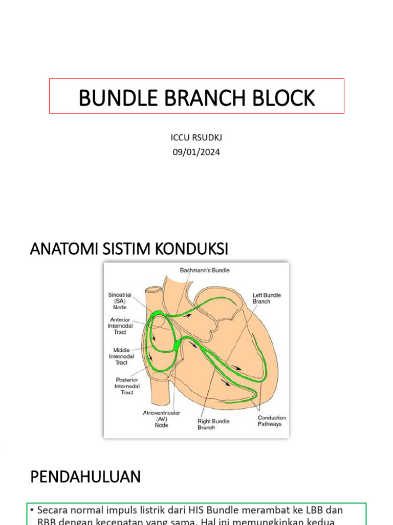 Panduan Lengkap RBBB dan Etiologinya | PDF