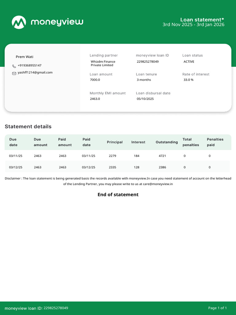 Loan Statement Summary and Details | PDF