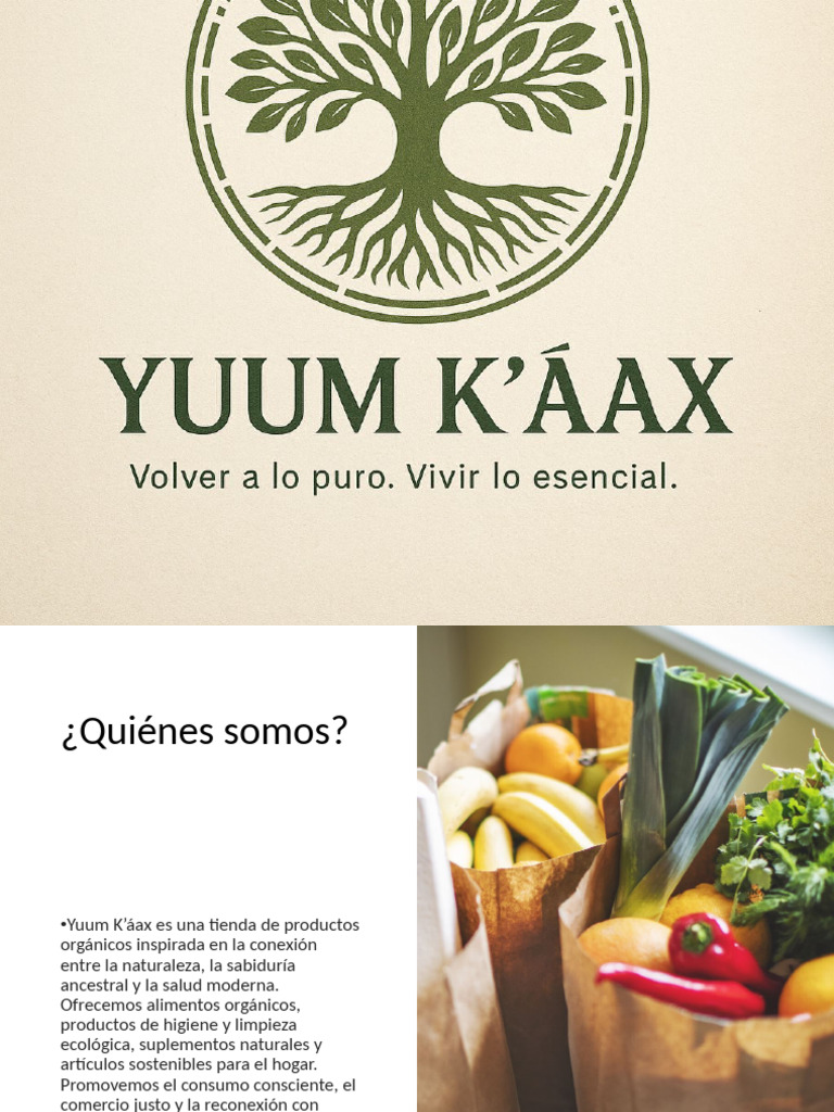 Copia de Yuum Kaax Presentacion Completa | PDF | Economias
