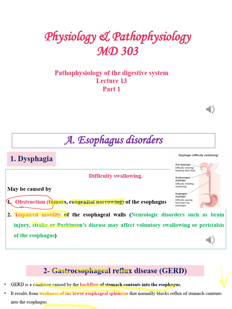 Digestive System Disorders Overview | PDF | Esophagus | Stomach