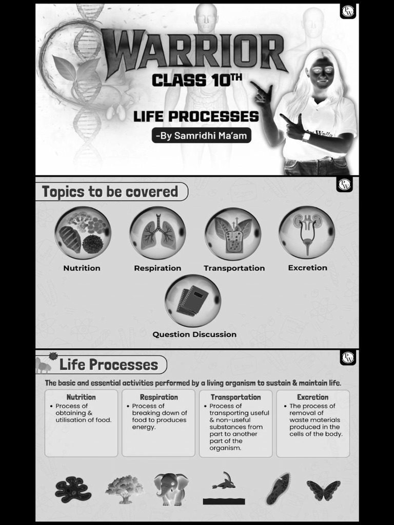 Life Processes - Class Notes | PDF