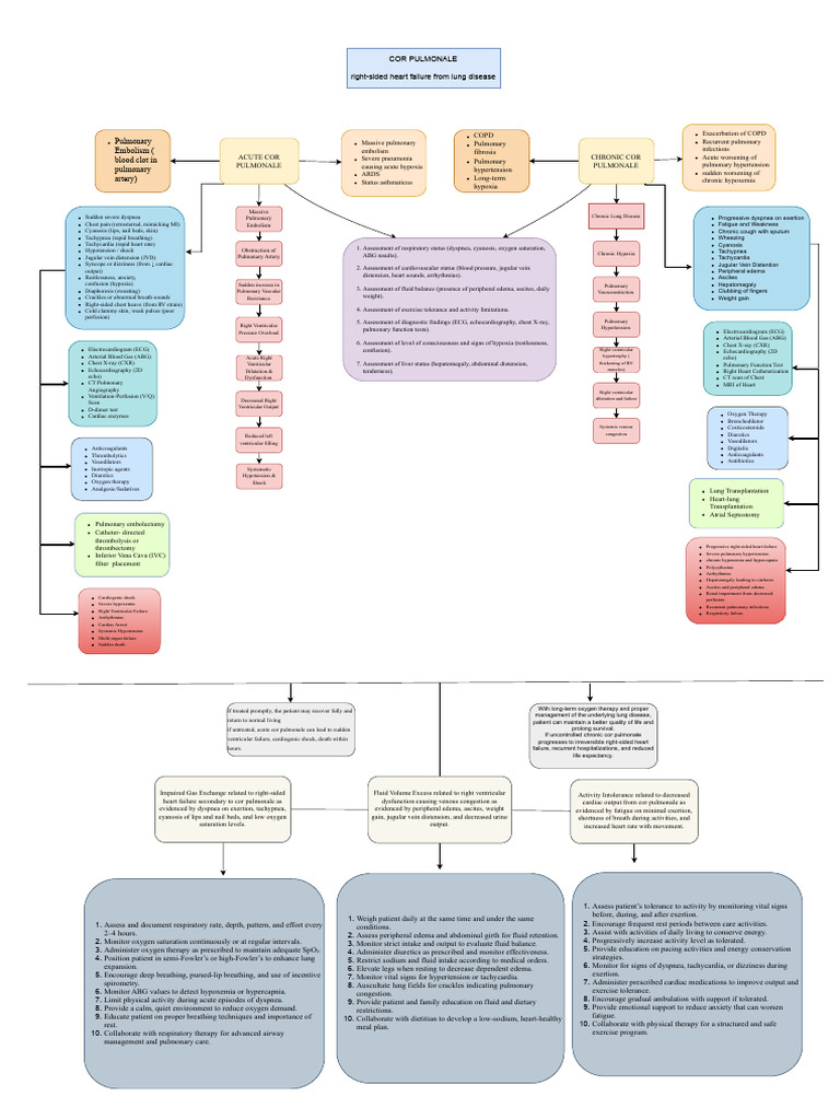 Understanding Cor Pulmonale: Causes & Care | PDF