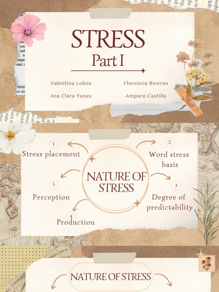 Stress.pdf | PDF | Stress (Linguistics) | Languages