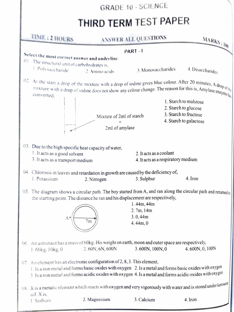 10 - 3rd Term Test Science | PDF