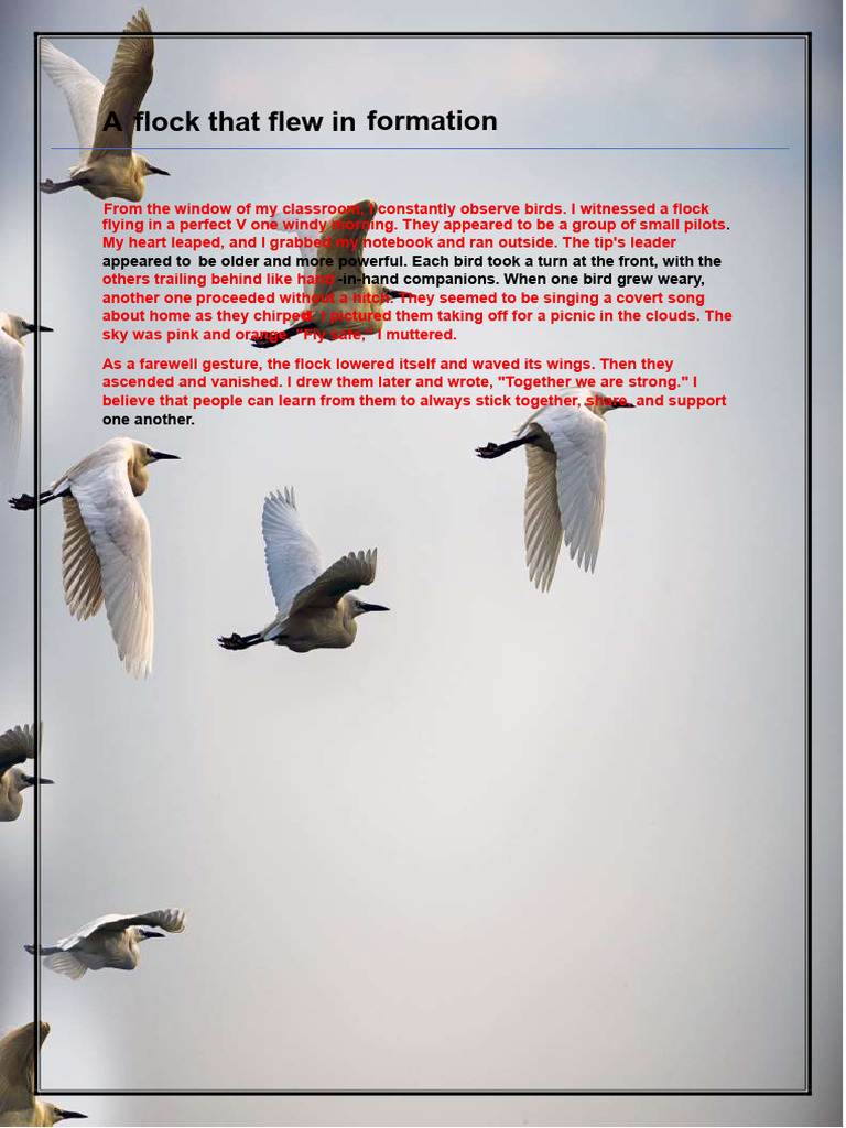 Observing a Flock's Flight Dynamics | PDF