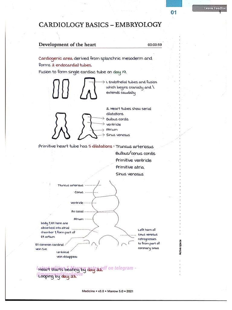 Marrow Edition 5 Notes PDF Guide | PDF