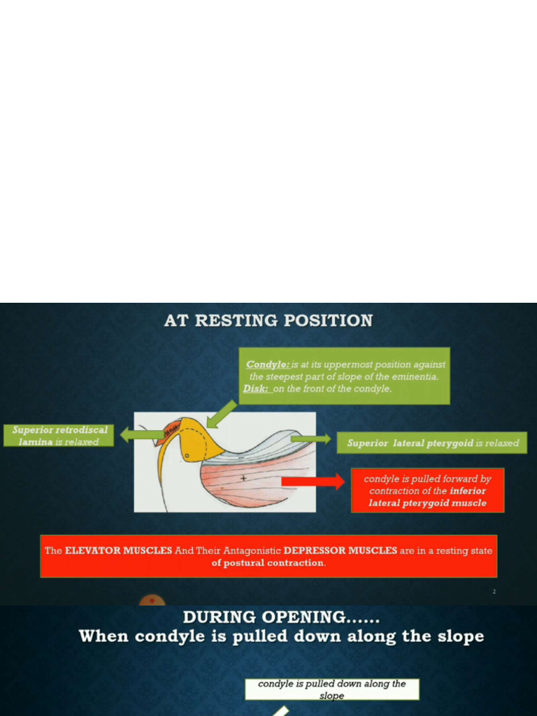 Ppppppp PDF | PDF