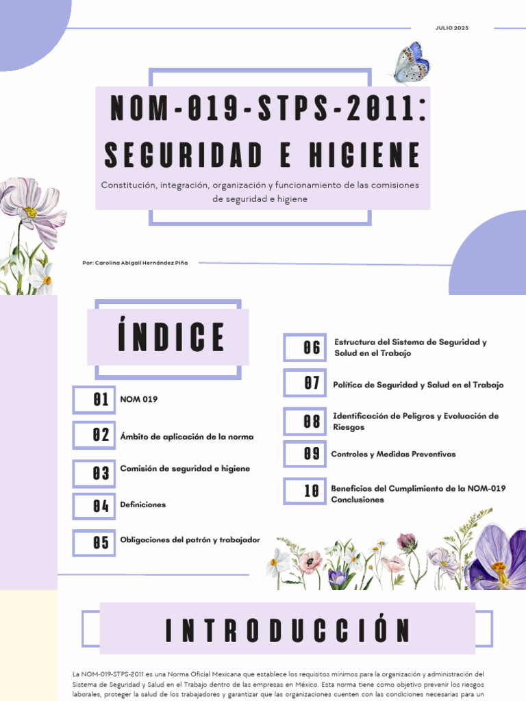 NOM-019-STPS-2011: Seguridad Laboral en México | PDF | Seguridad y ...
