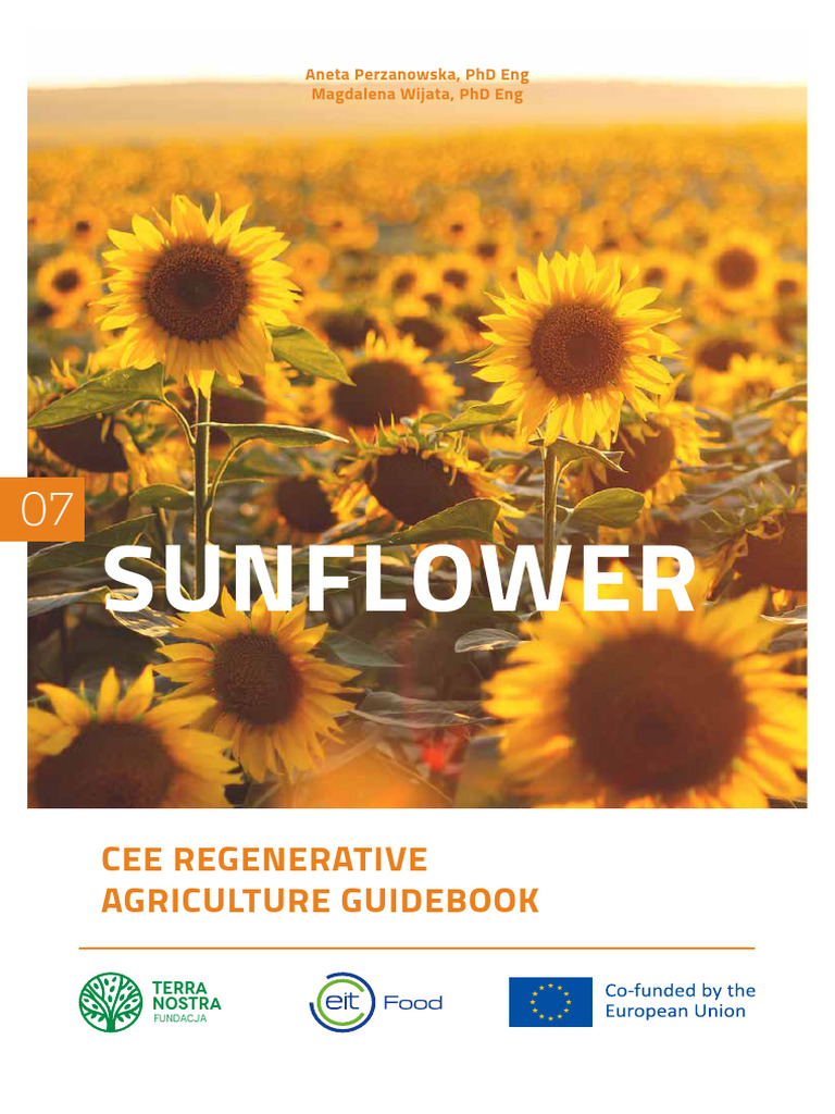 Sunflower Regenerative Farming Guide | PDF | Tillage | Soil