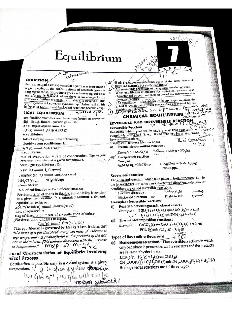 Equilibrium Short Notes | PDF