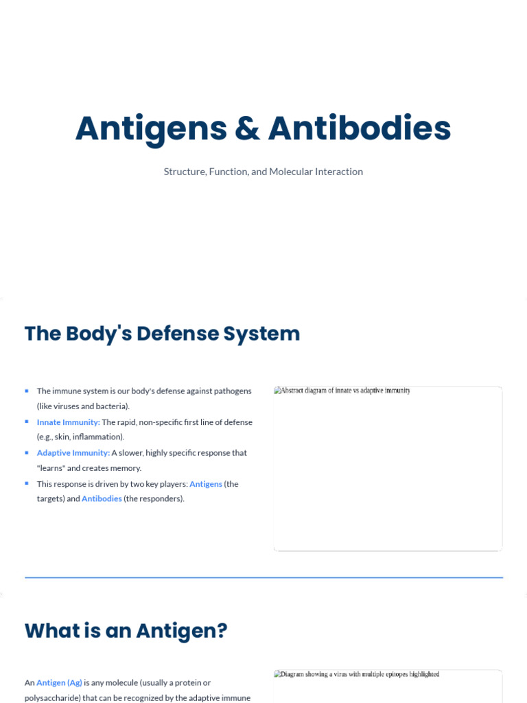 Antigens and Antibodies | PDF | Antibody | Antigen