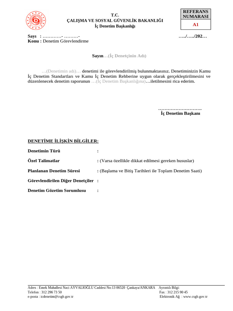 a1-denetim-g-revlendirme-yaz-s-pdf