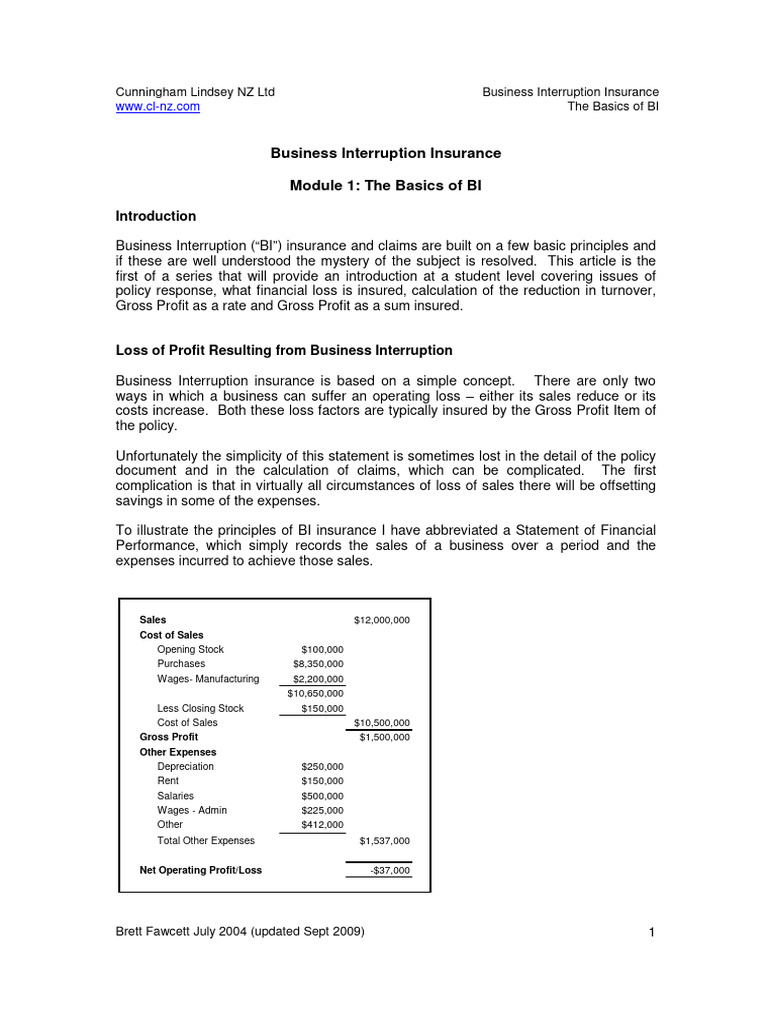 2.1 the Basics of BI | PDF | Expense | Insurance