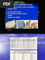 Download Budidaya Burung Puyuh by Ichan Kirey SN98383112 doc pdf