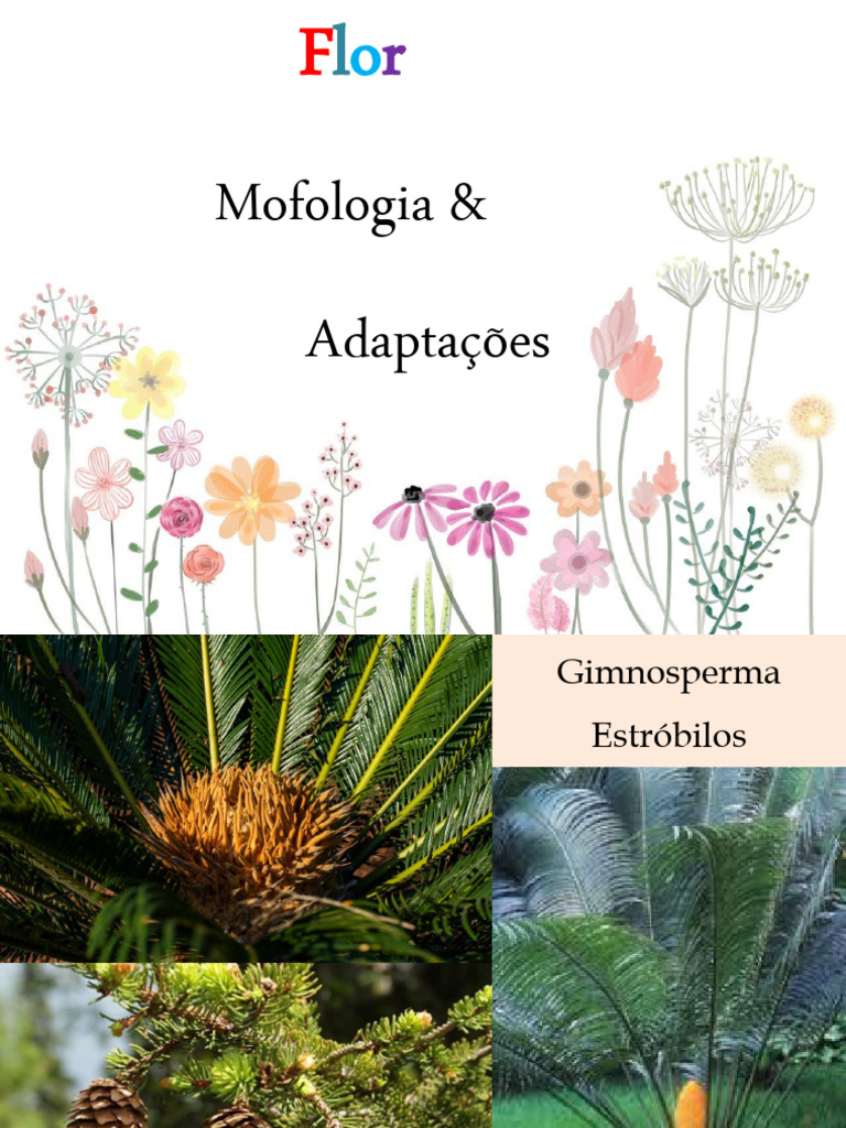 Morfologia e Adaptações das Flores | PDF | Flores | Plantas