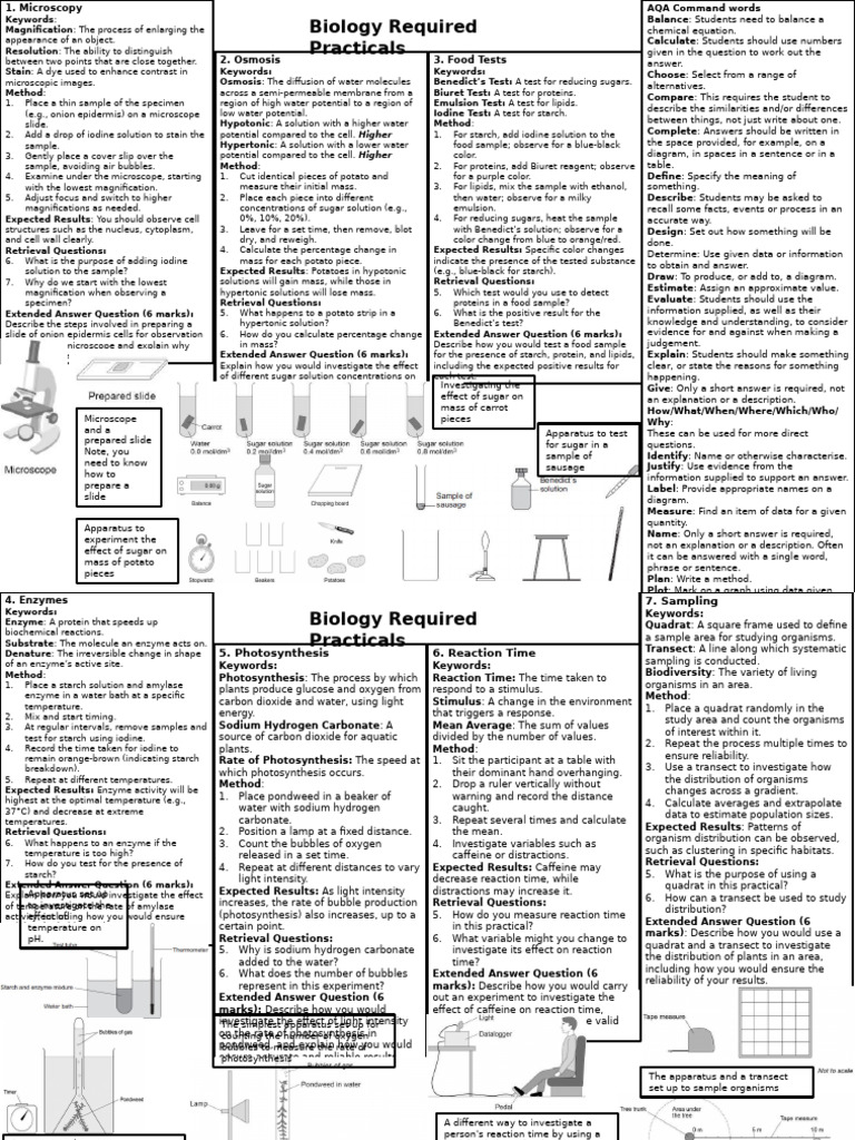 Essential Biology Practical Techniques | PDF | Enzyme | Photosynthesis