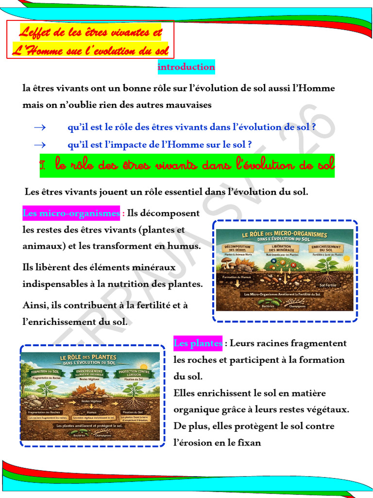 Rôle des êtres vivants et impact humain sur le sol | PDF