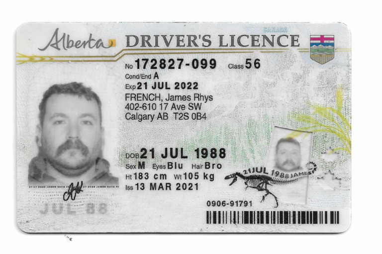 600DPI Alberta Template | PDF