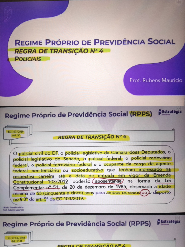 4 RPPS- RT 4 (Policiais) | PDF