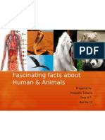 Fascinating Facts About Human &amp; Animals