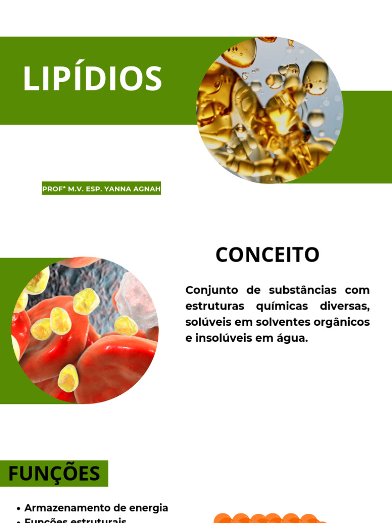 Funções e Estruturas dos Lipídios | PDF | Lipídio | Colesterol