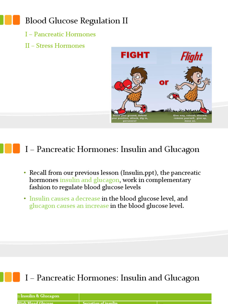 Blood Glucose Regulation and Hormones | PDF | Cortisol | Fight Or ...