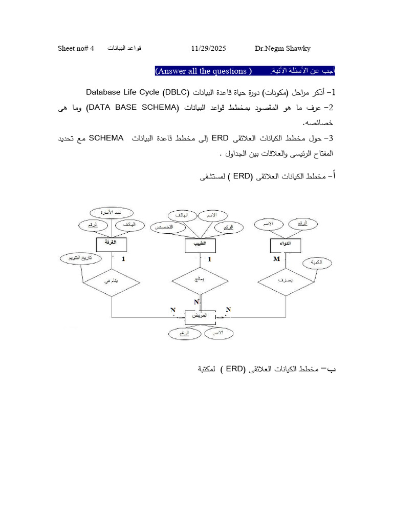 Database Life Cycle and ERD Guide | PDF