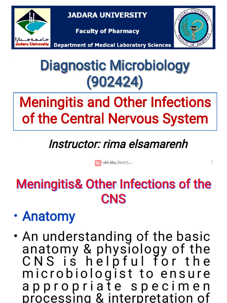 Meningitis and CNS Infections Overview | PDF | Meningitis ...