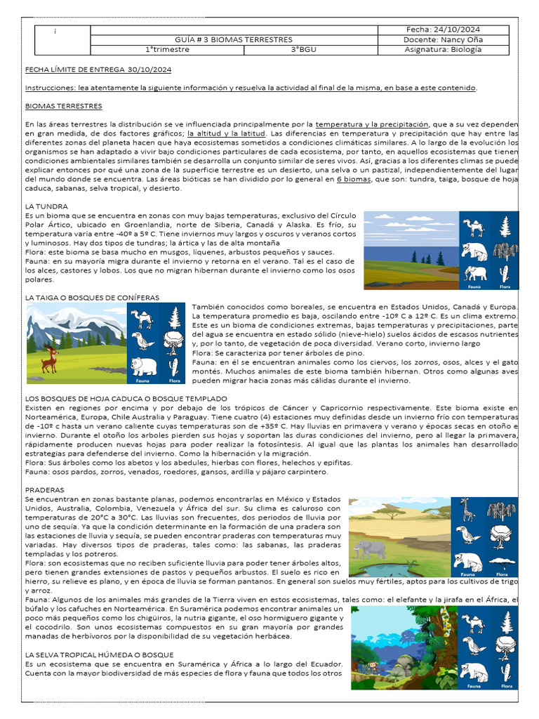 Biomas Terrestres: Guía Completa de Tipos | PDF | Selva | Ciencias de ...