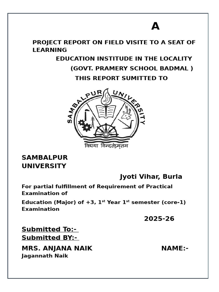 Field Visit Report: Govt. Primary School | PDF