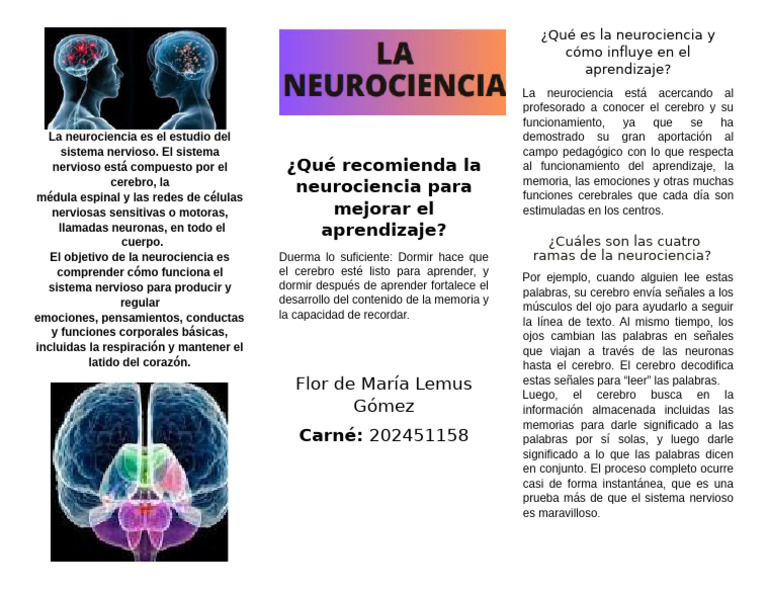 Neurociencia y su impacto en el aprendizaje | PDF | Cerebro | Neurociencia