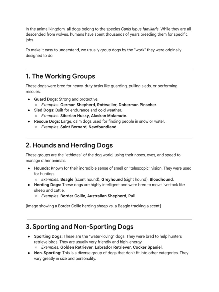 Understanding Dog Breeds and Their Roles | PDF | Dogs | Dog Breeds