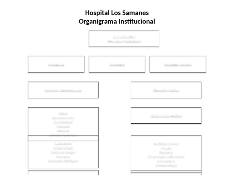Organigrama del Hospital Los Samanes | PDF