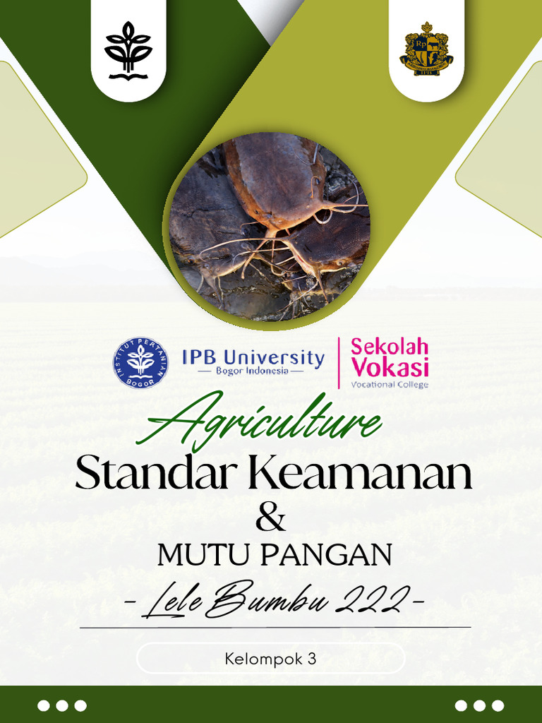 Booklet MMPA Kelompok 3 | PDF