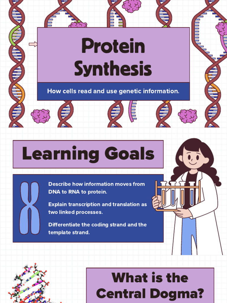 Protein Synthesis (Back Up) | PDF | Translation (Biology) | Messenger Rna