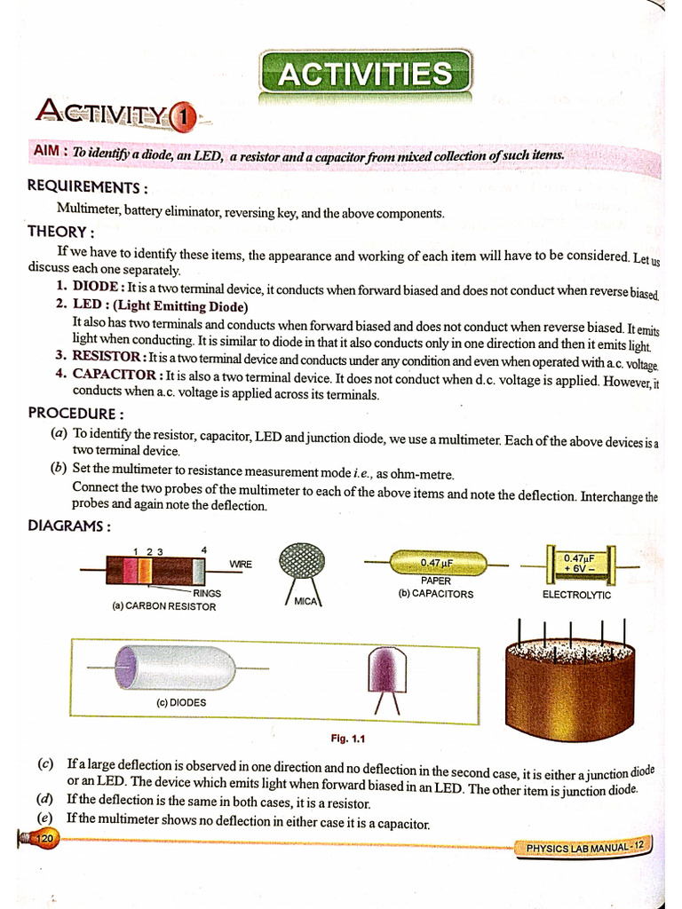 Activity (Section B) | PDF