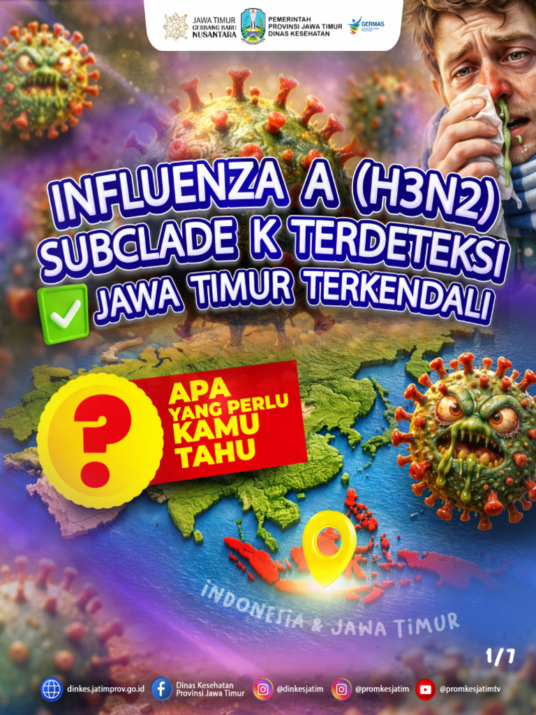 Influenza a (H3N2) Subclade K | PDF
