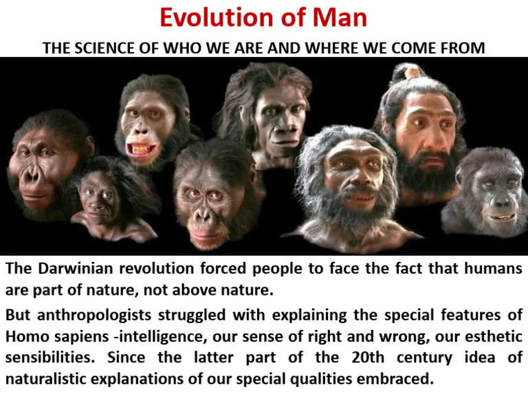 Understanding Human Evolution | PDF