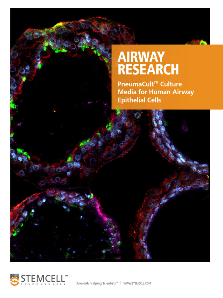 PneumaCult Culture Media for Human Airway Epithelial Cells | PDF ...