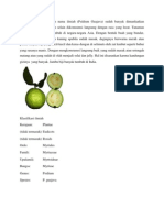 Download Jambu Biji Dengan Nama Ilmiah by dindianto SN98402147 doc pdf