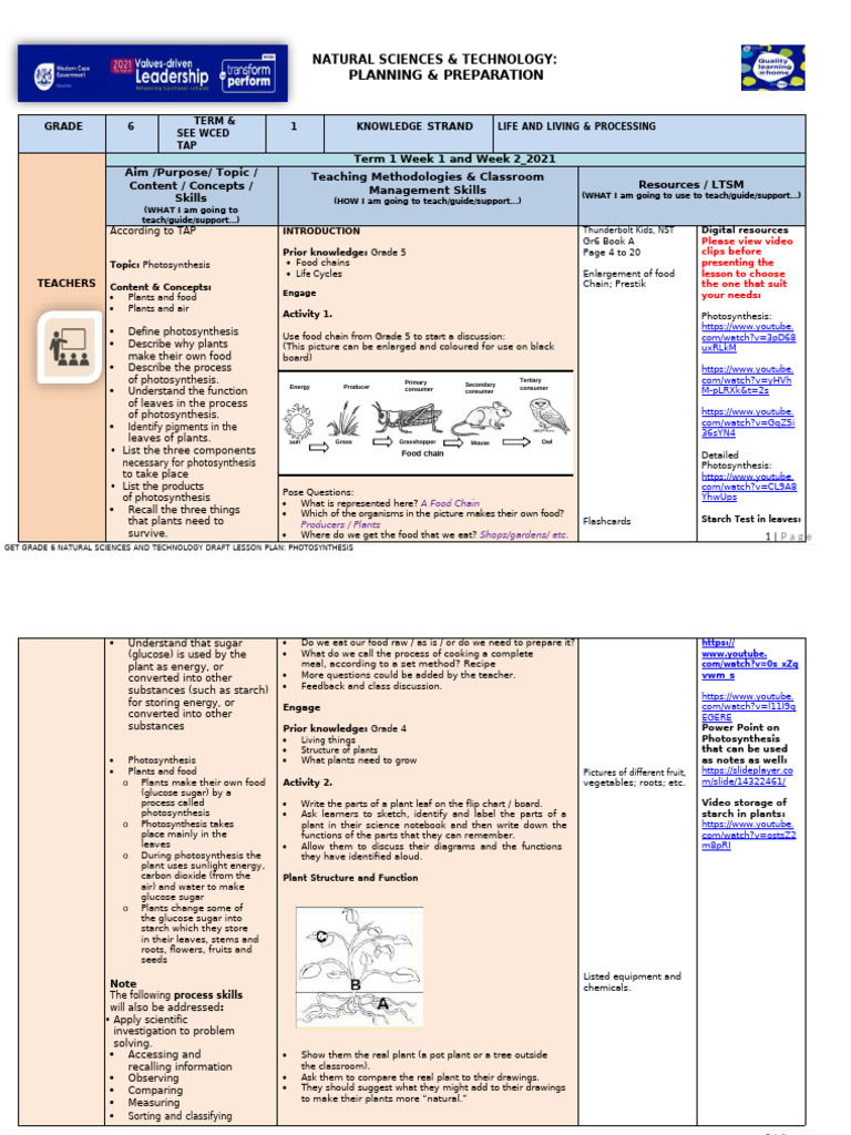 Grade 6 Photosynthesis Lesson Plan | PDF | Photosynthesis | Plants