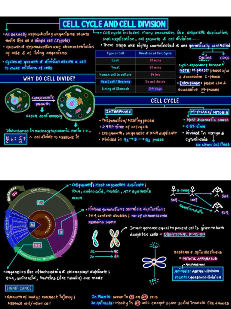 2. Cell Cycle and Cell Division . | PDF