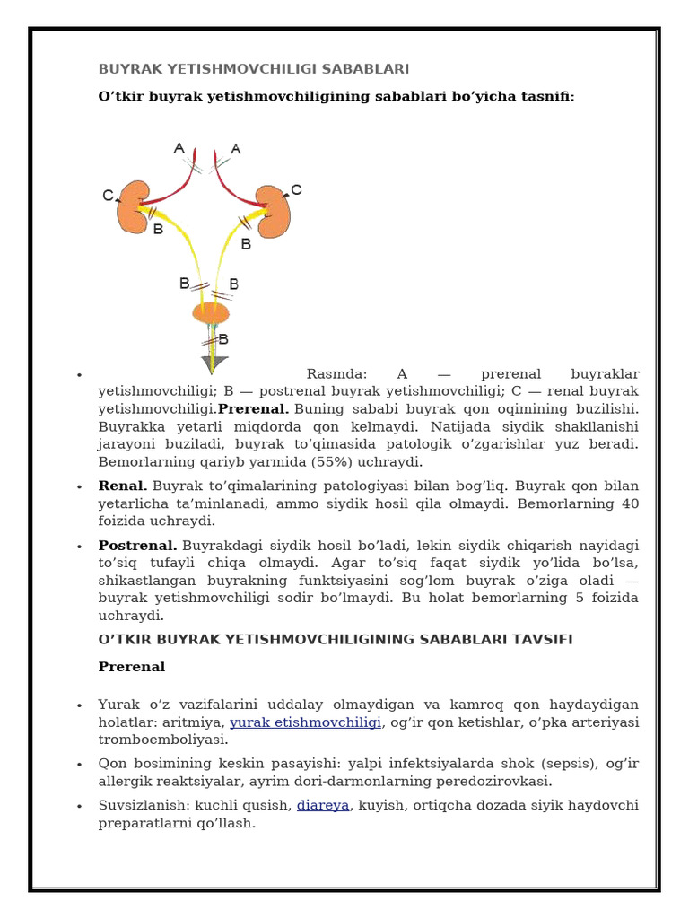BUYRAK YETISHMOVCHILIGI | PDF