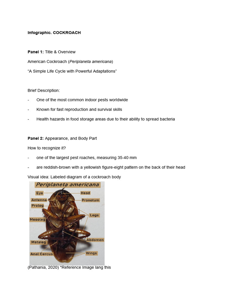 Infographic Cockroach | PDF | Insects | Zoology