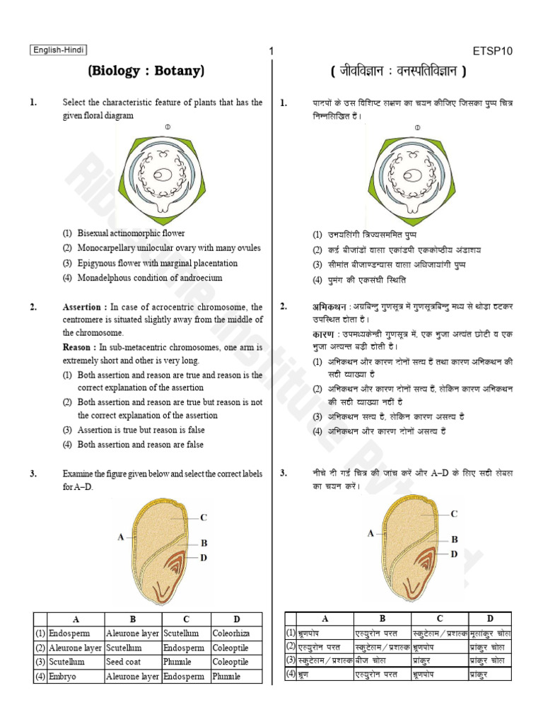 T-10_Test paper_06-04-25_b972c394-8ddb-433b-9e39-59948b33e506 | PDF ...