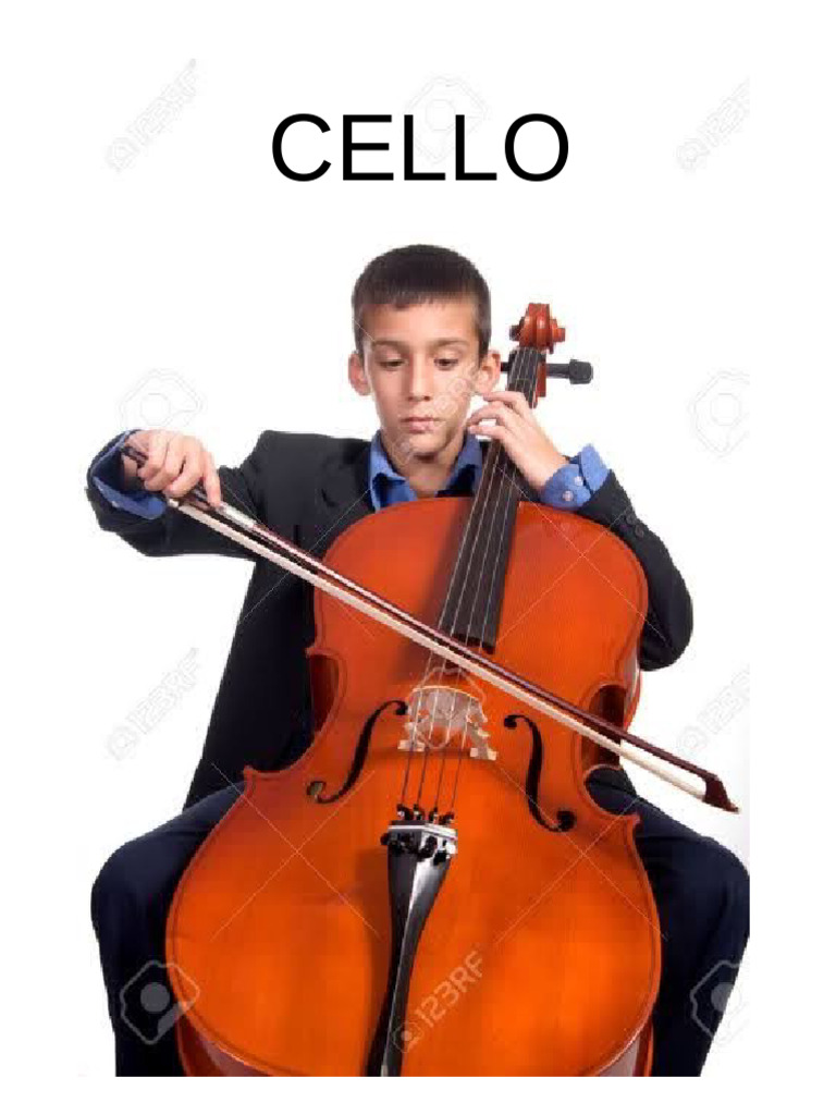 String Instruments | PDF